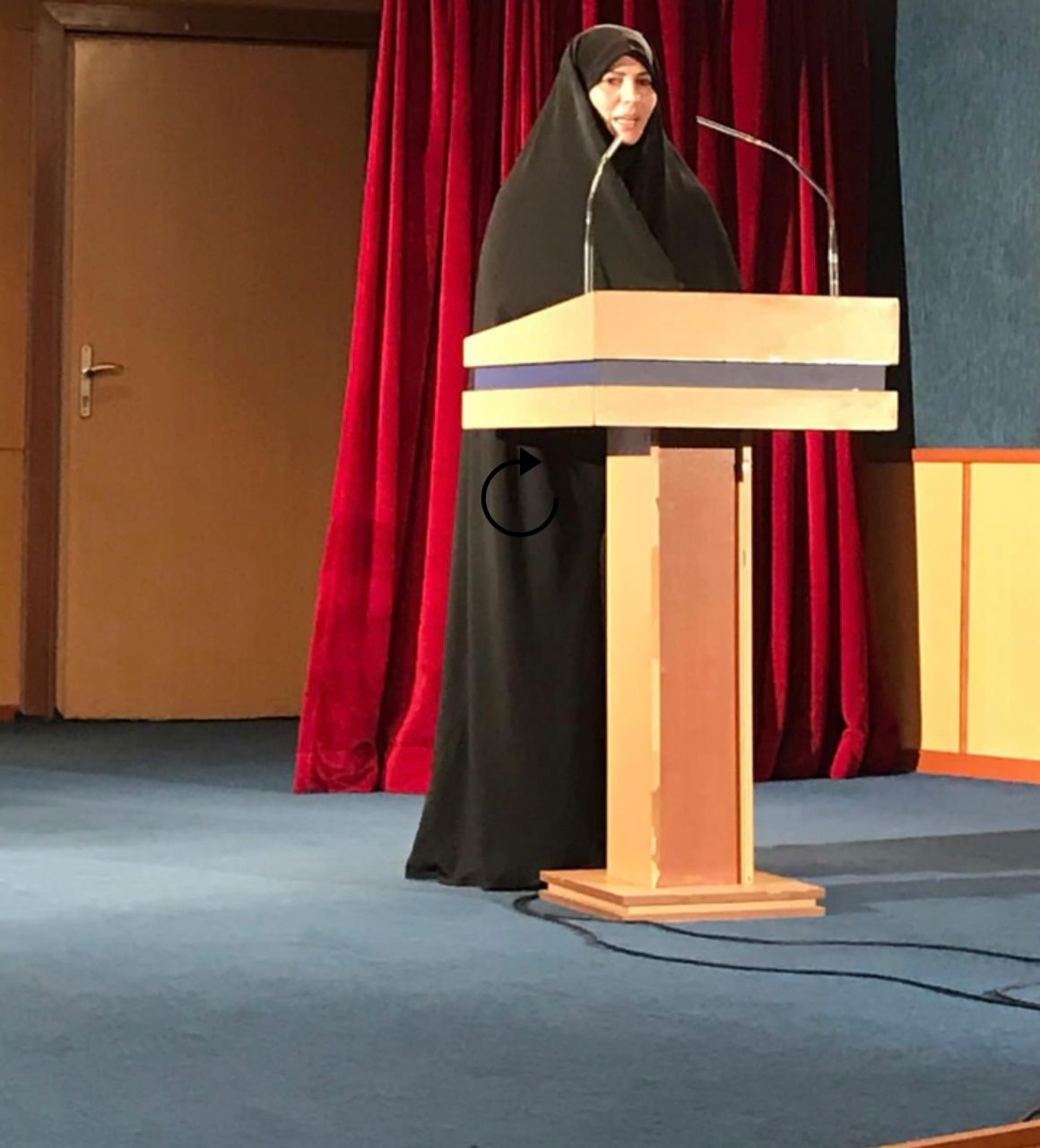 پنل تخصصی شبکه سازی ظرفیتهای اشتغال زنان